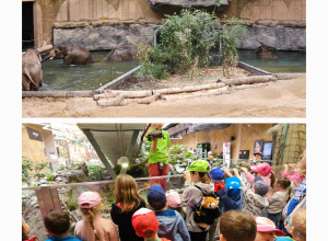 Wycieczka do zoo