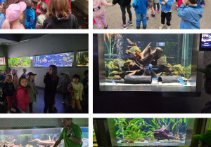 dzieci podczas wizyty w zoo