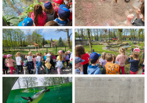 dzieci podziwiają zwierzęta w zoo