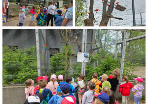 dzieci podziwiają zwierzęta w zoo