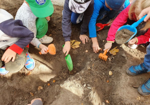 dzieci zakopują cebulki
