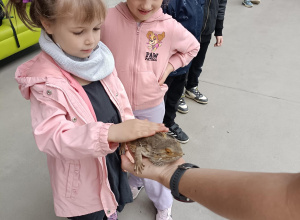Wycieczka do zoo