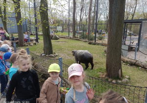 dzieci podczas wiztyty w zoo