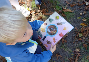 chłopiec w jednej ręce trzyma kasztana a w drugiej kartkę