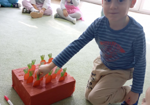 chłopiec wyciąga marchewkę z pudełka