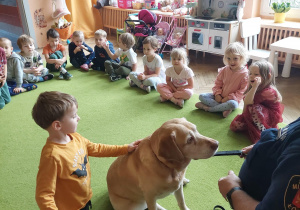 dzieci siedzą na dywanie, chłopiec głaszcze psa