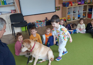 chłopiec podchodzi do psa