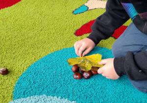 ręce chłopca zakrywają liściem kasztany