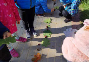 dzieci układają długi szereg z naturalnych okazów