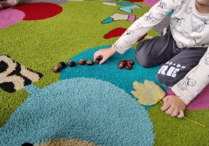 chłopiec z kasztanami i liściem na dywanie