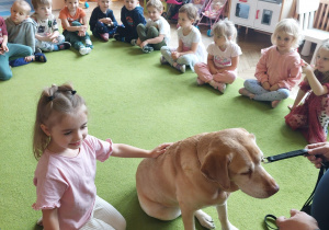 dziewczynka głaszcze psa