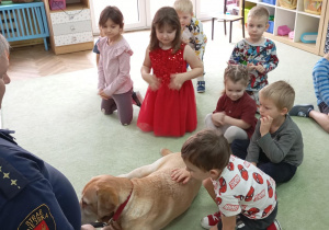 dziecko głaszcze psa