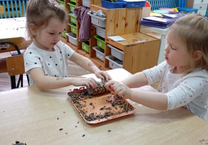 dzieci wykonują karmnik