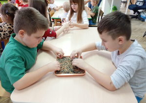 dzieci wykonują karmnik