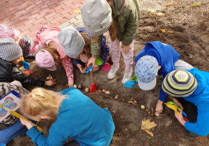 dzieci sadzą cebulki