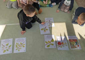 Dzieci ustawiają ilustrację w odpowiedniej kolejności.