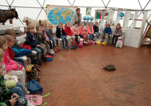 dzieci siedzą w półkolu na krzesłach w namiocie edukacyjnym i patrzą na dużego żółwia