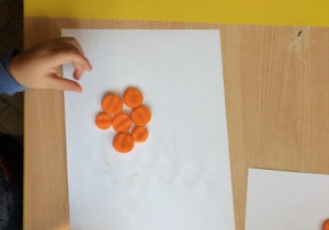 ułożenie krążków z marchewki na kartce