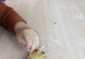 widoczne rączki dzieci wbijają wykałaczki w ziemniaka