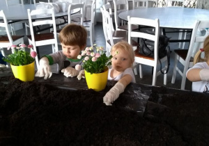 dzieci wsypują ziemie do doniczek