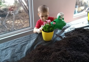 chłopiec podlewa roślinkę