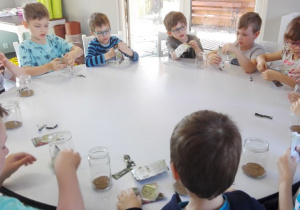 dzieci przy stole wsypują nasiona