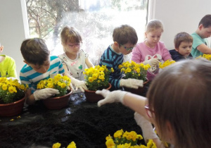 dzieci układają kwiaty
