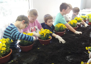 dzieci układają kwiaty do doniczek