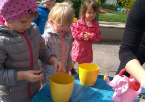 dziewczynki sadzą cebulki