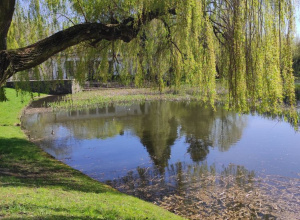 Przegląd fotograficzny