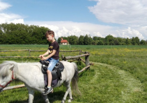 chłopiec na białym kucyku