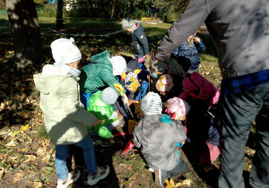 Dzieci wspólnie z nauczycielką sadzą drzewo w ogrdzie przedszkolnym
