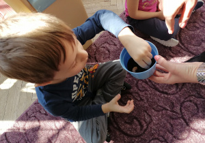 Chłopiec wkłada cebulkę do ziemi