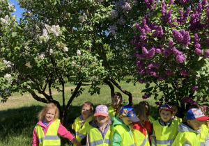 Grupa dzieci przedszkolnym stoi razem przy drzewach bzu białego i fioletowego