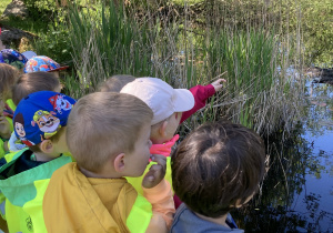 Dzieci obserwują przyrodę w okolicach stawu.