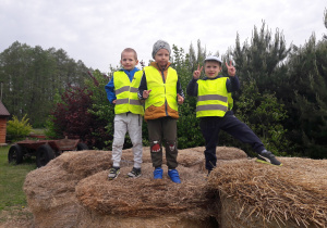 Trzech chłopców stoi na belce siana