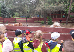 Grupa dzieci ogląda zwierzę w zagrodzie