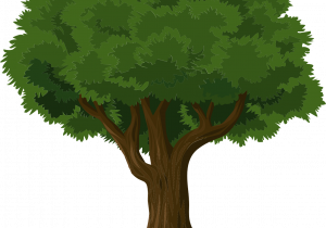 Grafika drzewa