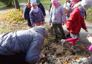 Dzieci obserwują jak należy sadzić cebulki roślin