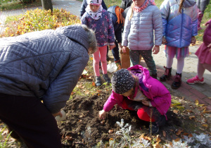Dzieci obserwują jak należy sadzić cebulki roślin