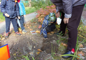 Dzieci sadzą cebulki roślin