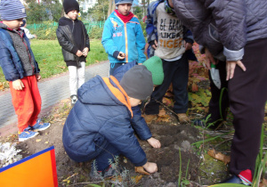 Dzieci obserwują jak nalezy sadzić cebulki roślin