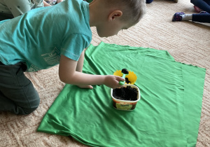 Chłopiec sadzi roślinkę do ziemi
