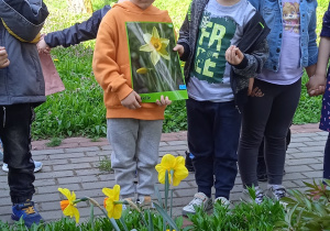 Chłopcy stoją przy rabacie kwiatowej