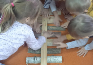 dzieci dotykają drewna