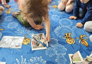 dziewczynka na dywanie składa obrazek w całość