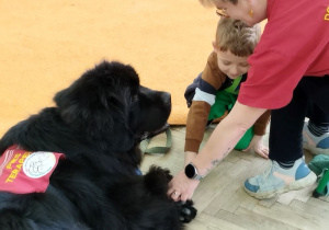 Chłopiec z pomocą pani dotyka psiej łapy