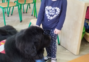 Dziewczynka stoi obok psa który leży