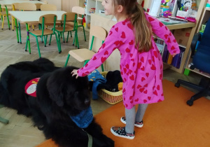 Dziewczynka dotyka psa