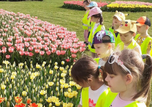 Grupa dzieci patrzy na tulipany